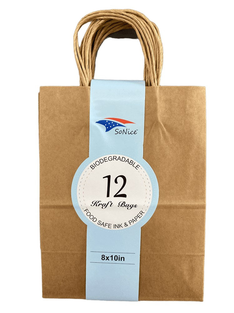 Brown biodegradable craft bag with twisted paper handles, 8x10 inches, pack of 12.