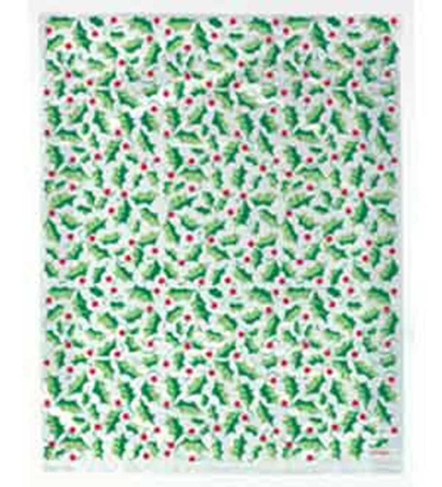 Mantel Biker Ratones