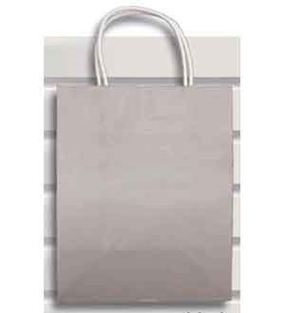 Small silver gift bag with twisted paper handles and smooth matte finish.