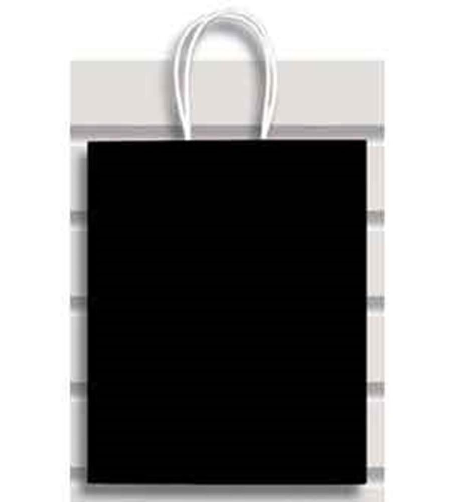 Small black gift bag with white twisted handles and a matte finish.
