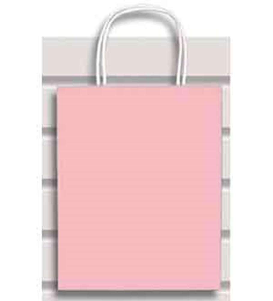 Small pink paper gift bag with white twisted handles and a smooth finish.