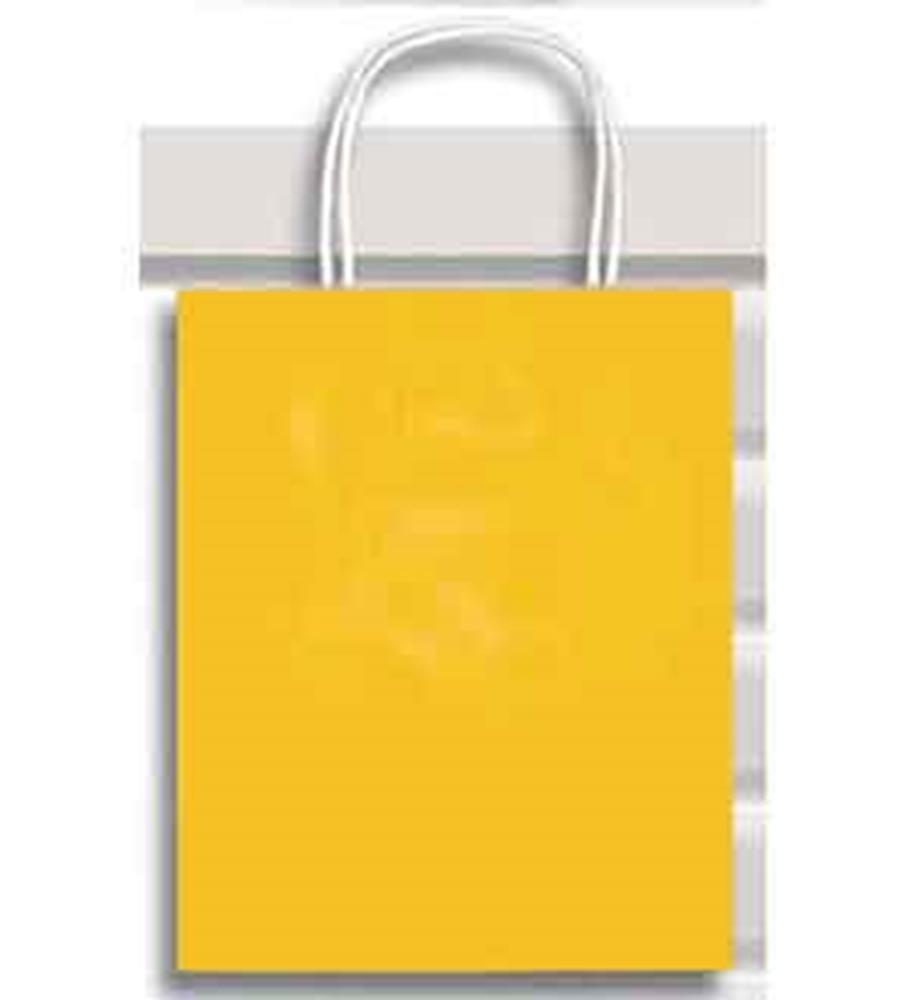 Small canary yellow paper gift bag with white twisted handles.