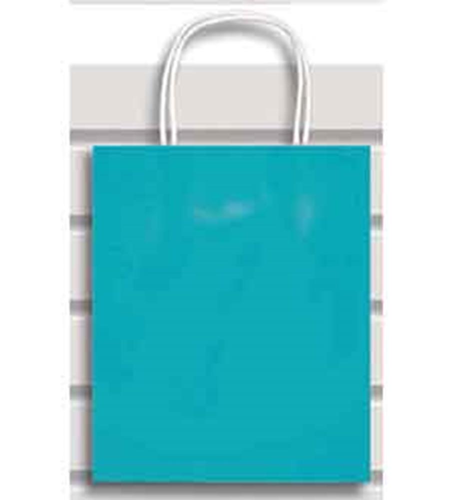 Ocean blue small paper gift bag with twisted white handles and a matte finish.