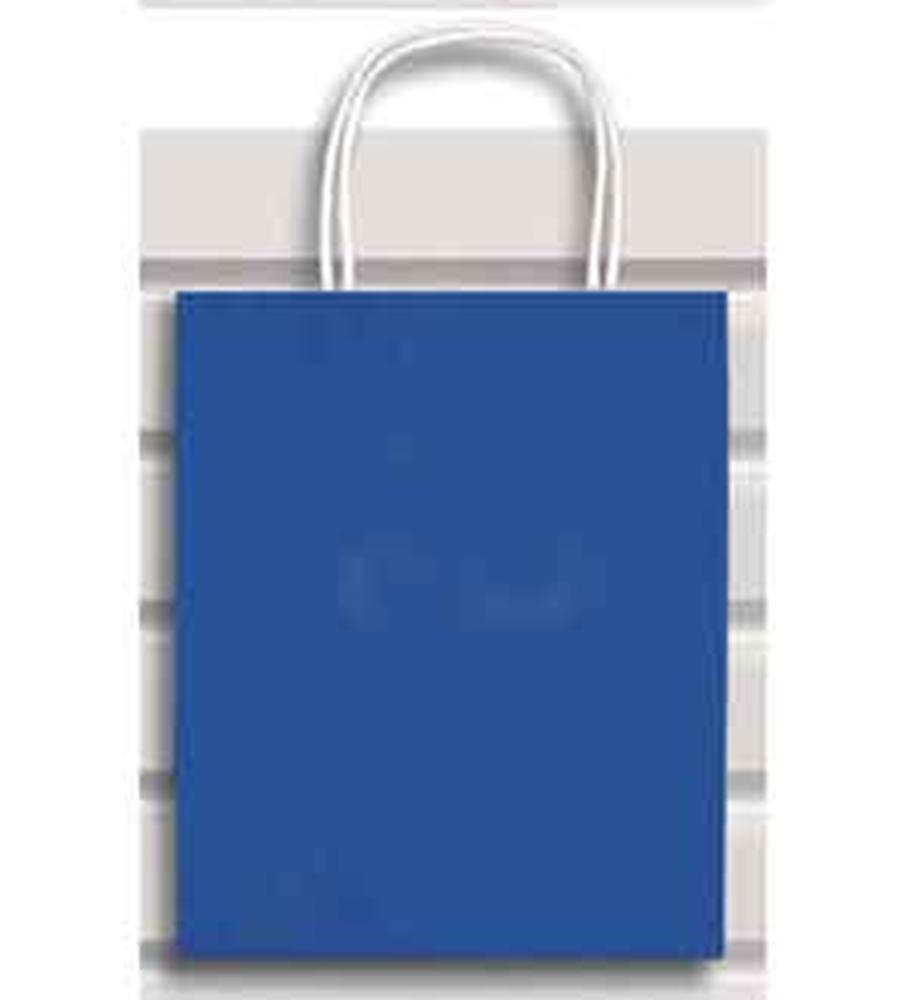 Small royal blue paper gift bag with twisted white handles against a light background.