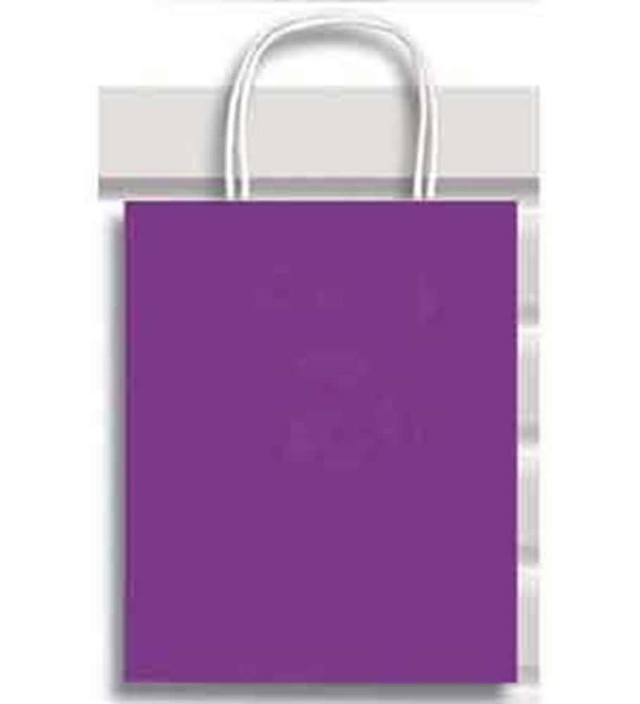 Small purple paper gift bag with twisted paper handles and a rectangular base.