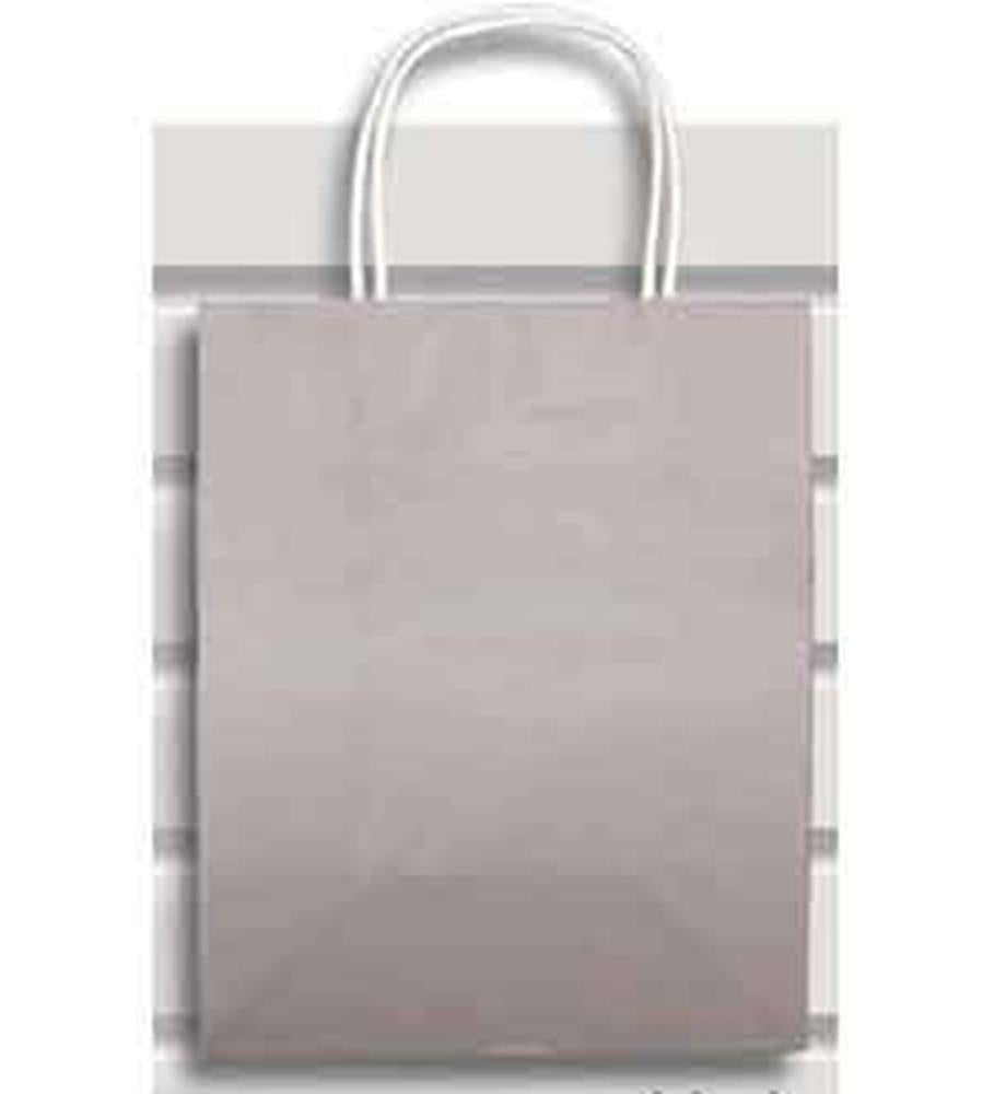 Medium silver gift bag with twisted paper handles and a smooth finish.