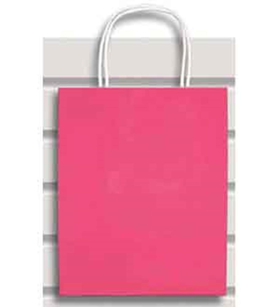 Medium-sized bright pink paper gift bag with white twisted handles and a smooth matte finish.