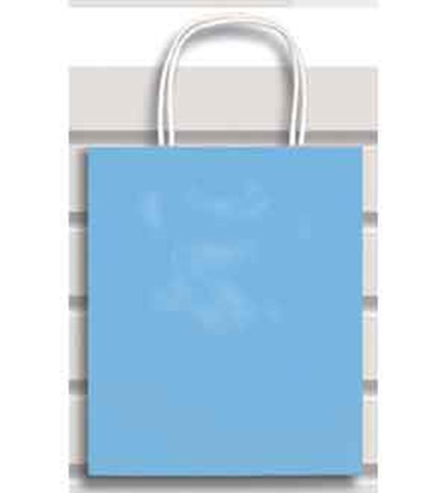 Medium-sized matte baby blue gift bag with twisted white paper handles and a rectangular shape.