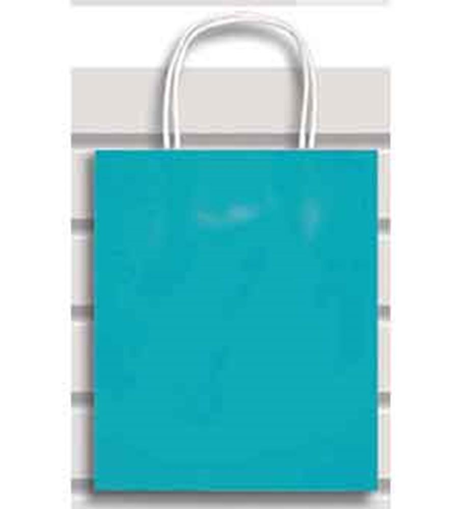Medium-sized ocean blue gift bag with twisted white paper handles and smooth matte finish.
