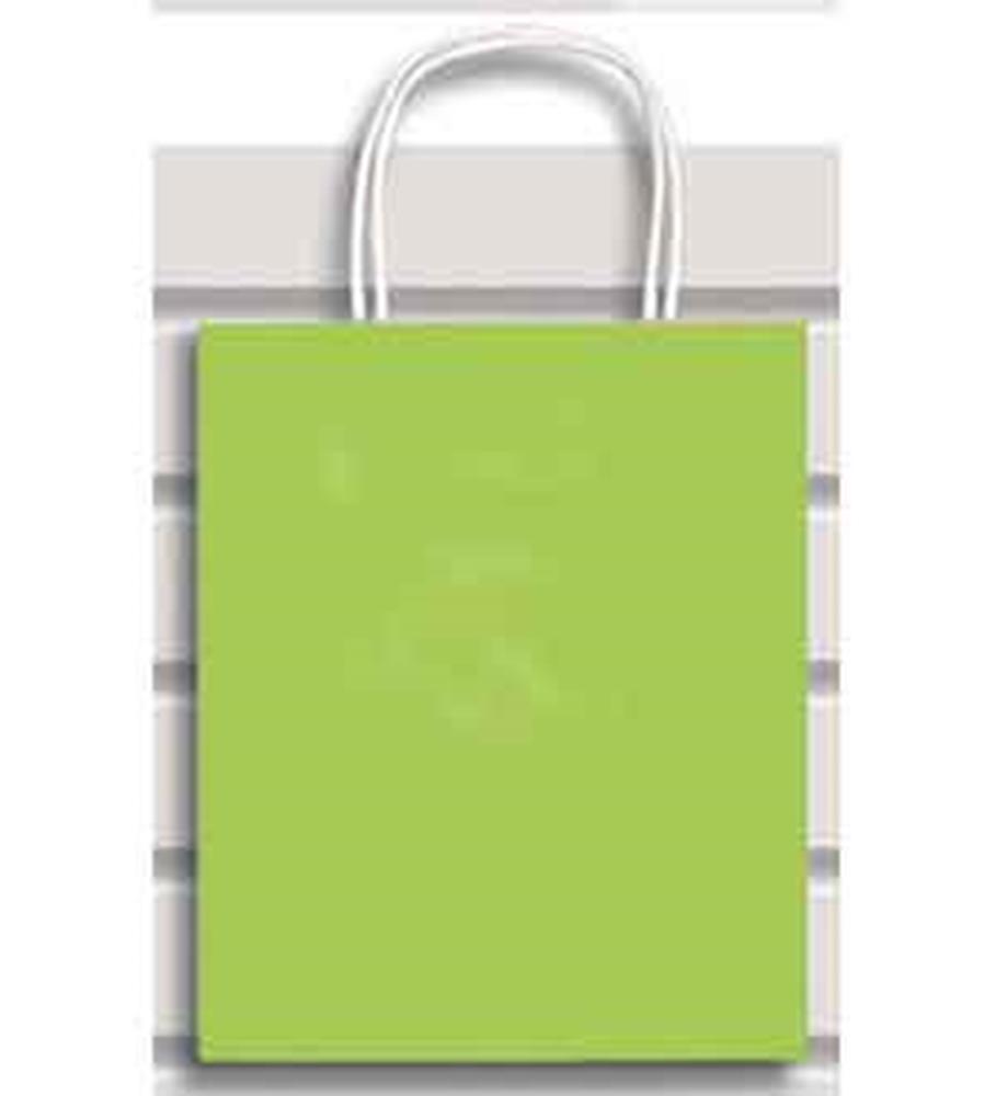 Medium lime green paper gift bag with white twisted handles and a smooth finish.