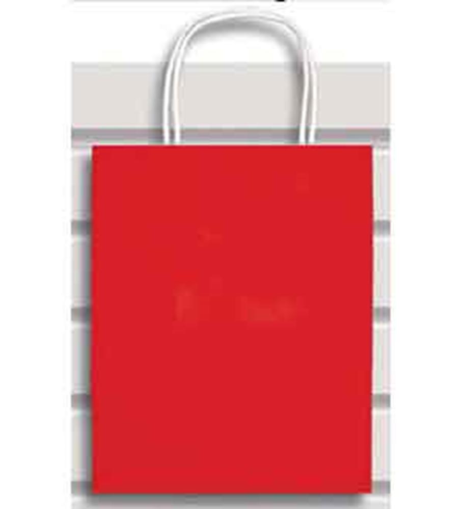 Large red paper gift bag with white twisted paper handles and a rectangular shape.