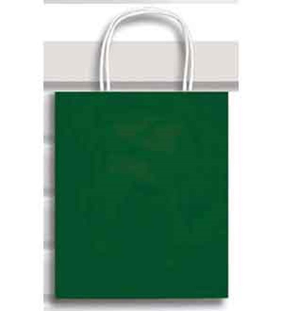 Hunter green matte paper gift bag with twisted white handles, XL size.