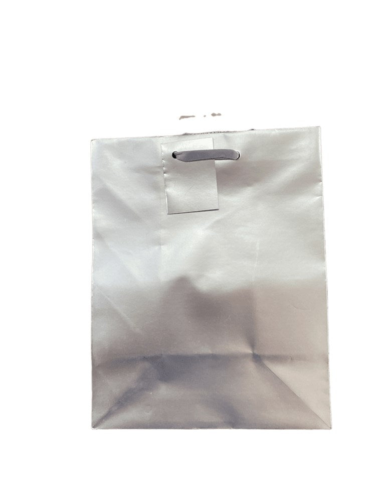 Small metallic silver gift bag with flat base and sturdy handles, smooth reflective finish.