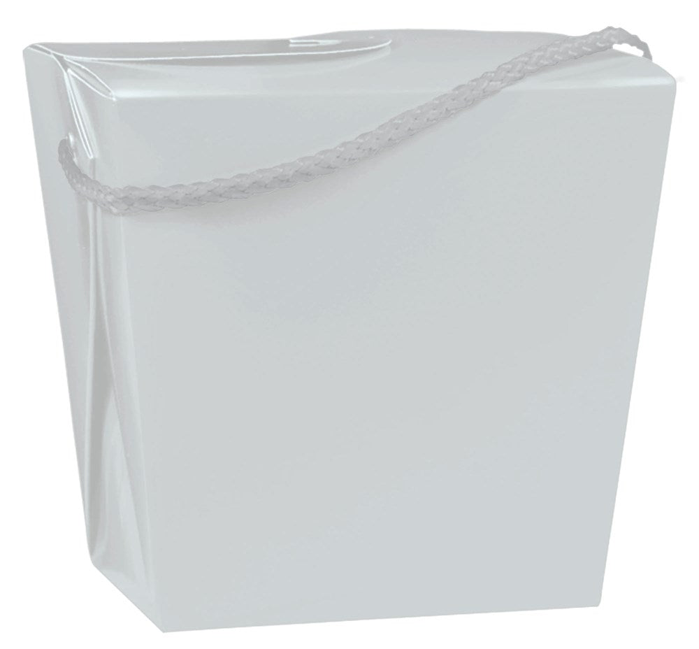 Small square silver metal pail with a braided handle, smooth finish, and slight taper toward base.