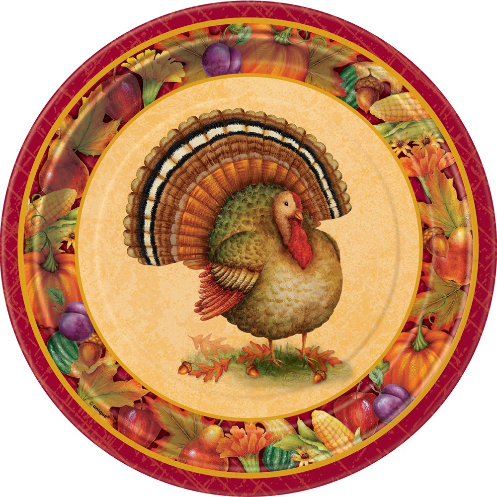 Round paper plate with a detailed turkey illustration in the center, surrounded by a colorful border of autumn fruits and.