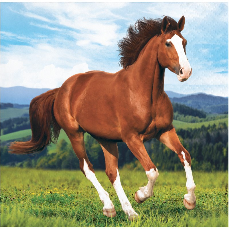Square napkin with a realistic, brown horse galloping on a green meadow under a blue sky.