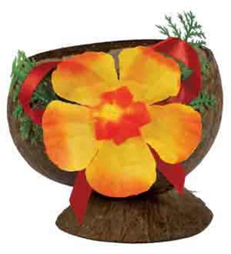 Brown coconut shell cup with a bright orange and yellow tropical flower and green foliage accents.