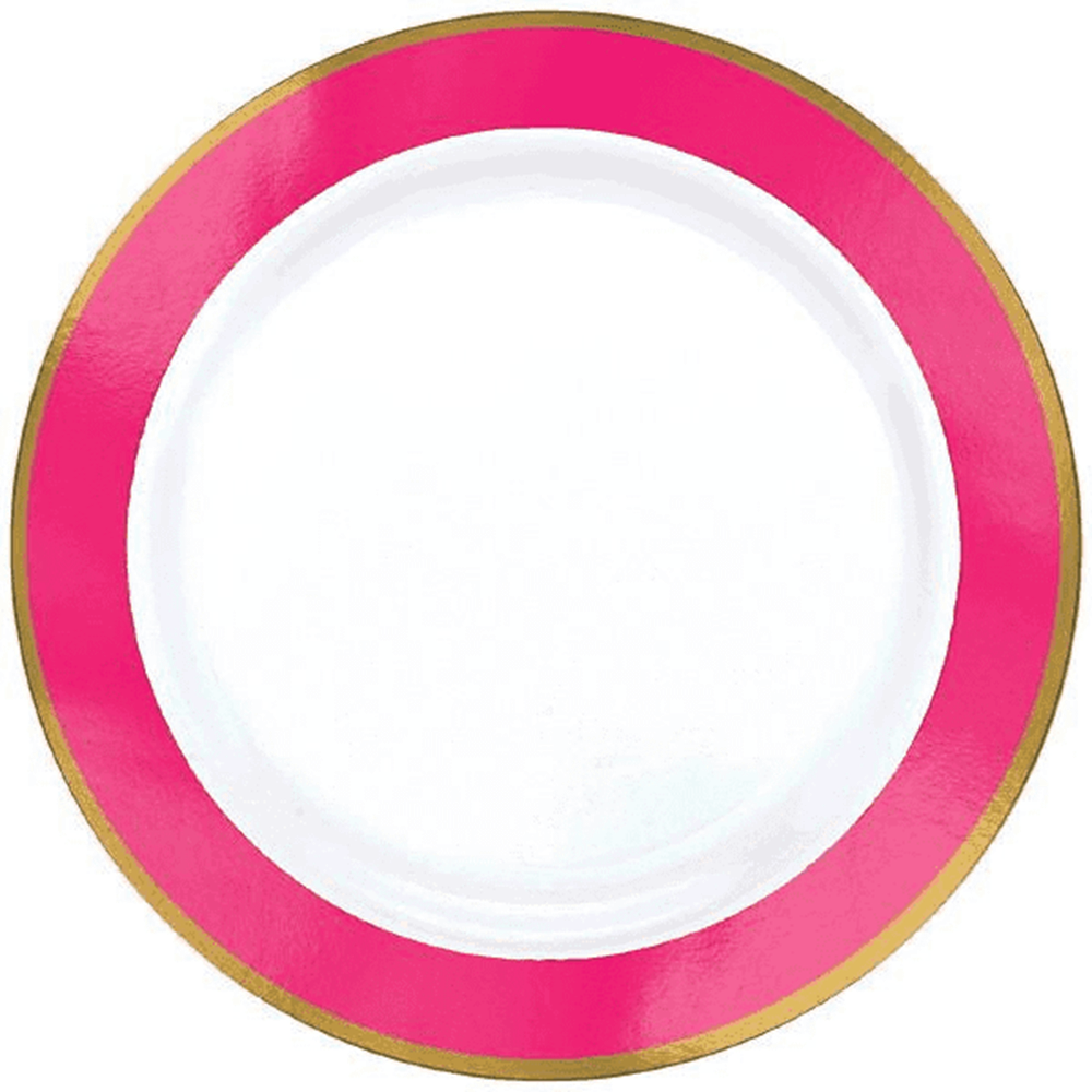 Round white plate with a bright pink border and a gold accent ring, 10.25 inches diameter.