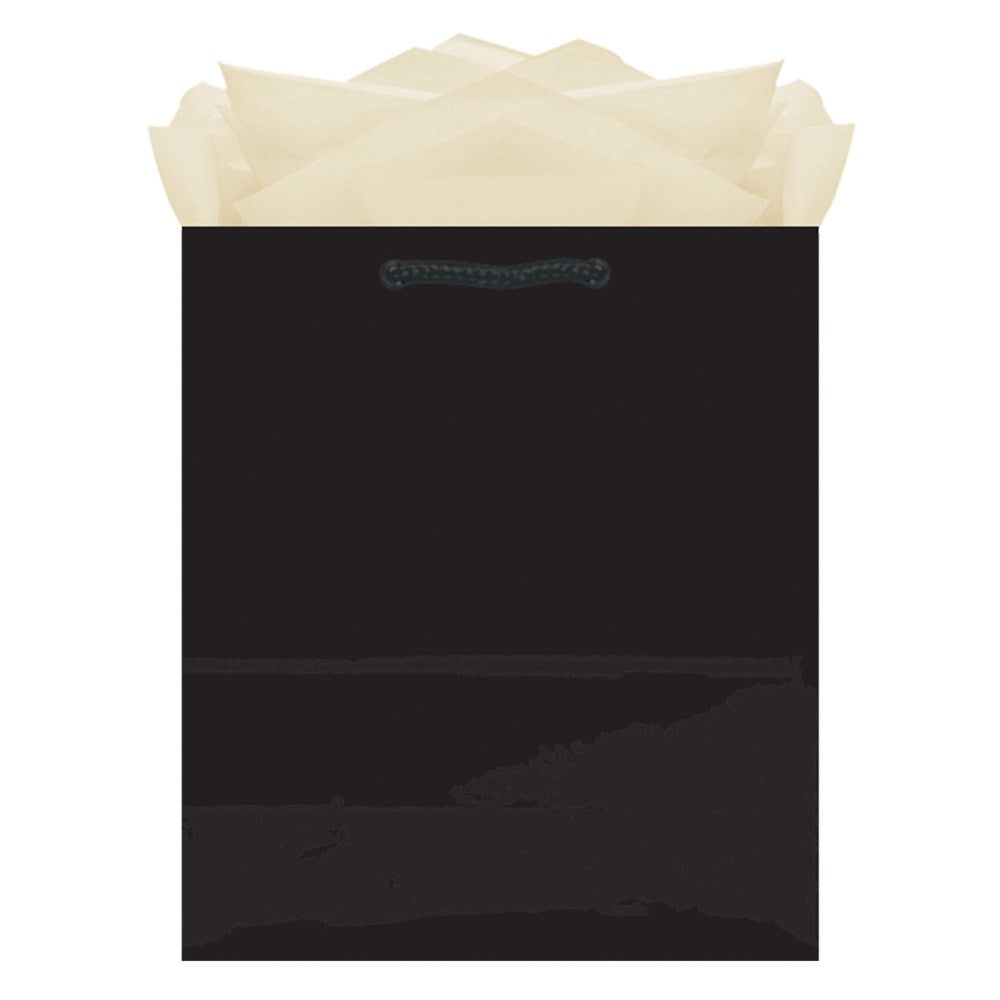 Medium black matte paper gift bag with black rope handles and white tissue paper inside.