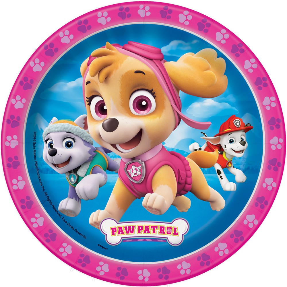 Pink round plastic plate with Paw Patrol characters Skye, Everest, and Marshall under a blue sky background.