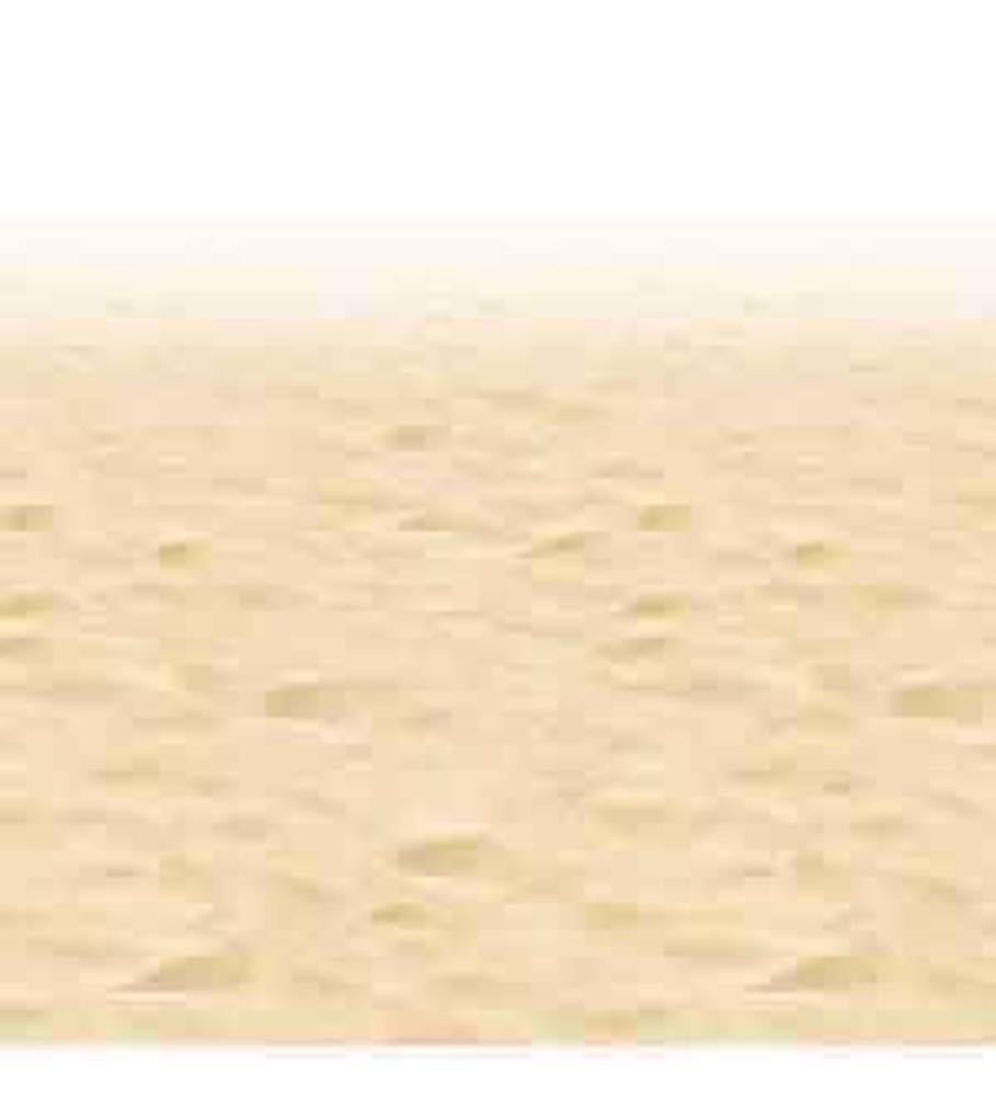Beige sandy ocean floor border with textured patterns resembling underwater sand ripples.