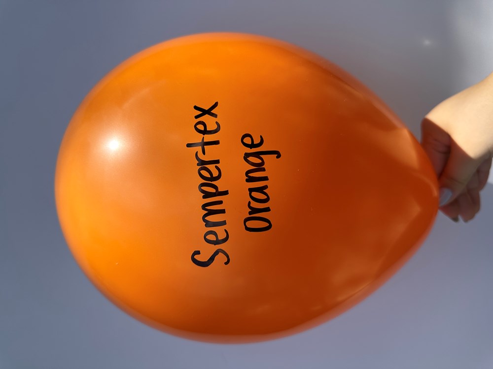 Bright orange latex balloon inflated, 36 inches, with black "Sempertex Orange" text, held by hand.