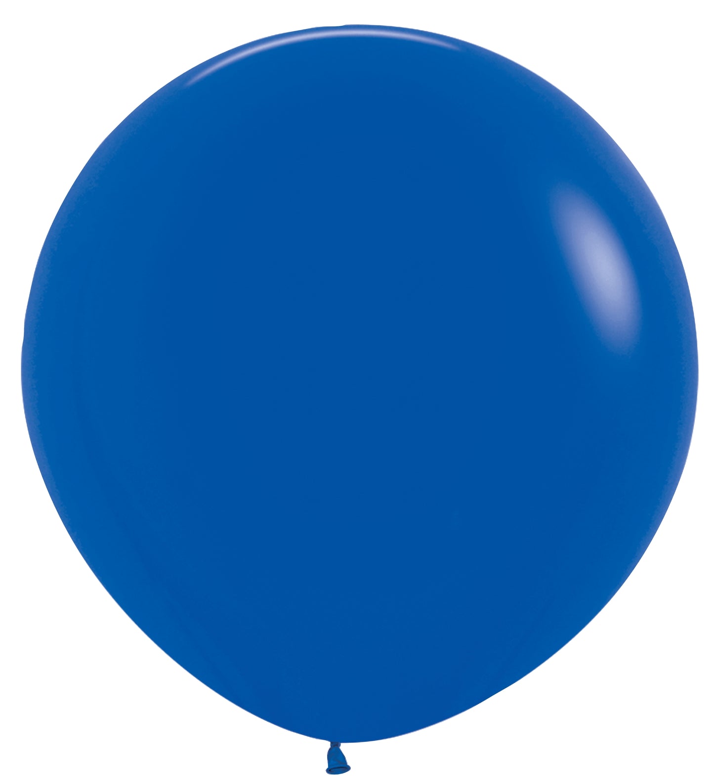 Two large royal blue latex balloons inflated to full round shape.