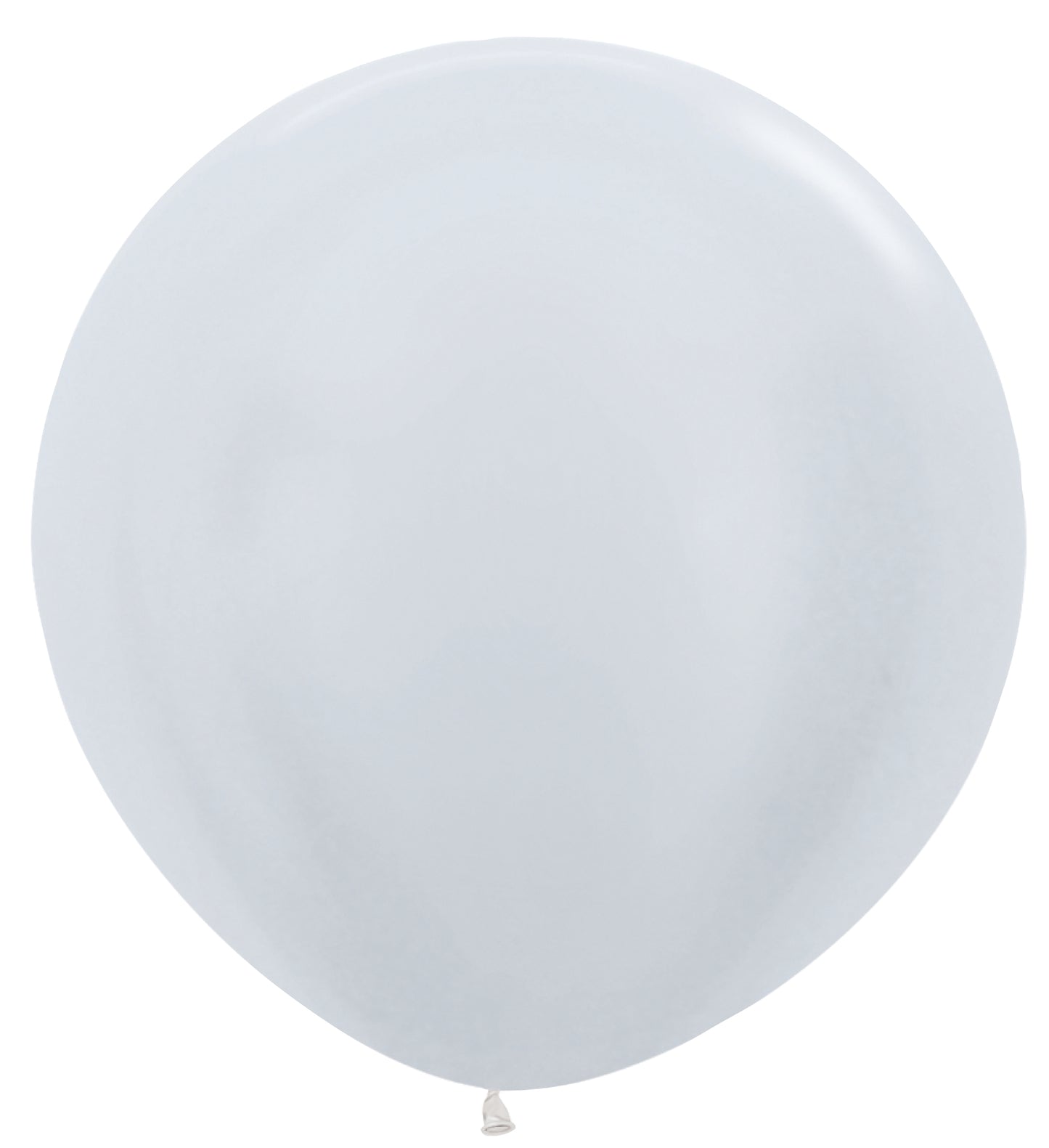 Two large 36-inch pearl white latex balloons with a smooth glossy finish.
