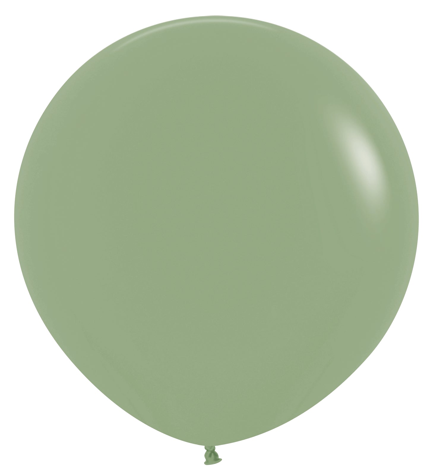 Round eucalyptus green latex balloon inflated with a smooth matte finish.