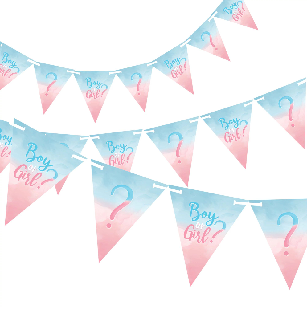 The Big Reveal Pennant Banner