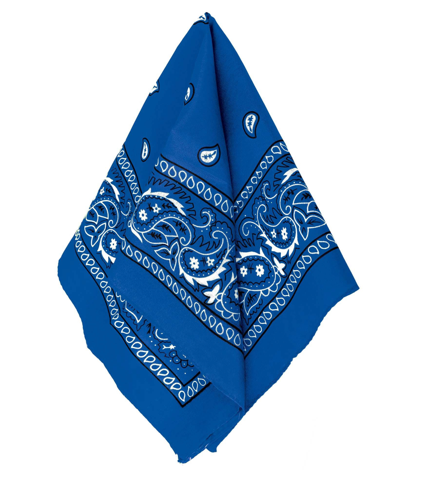 Blue Bandana
