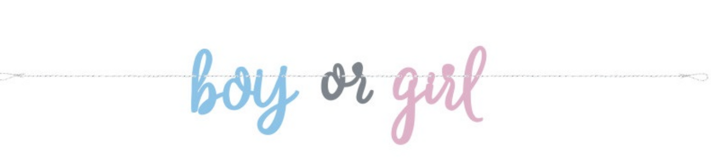 Blue Pink Gender Reveal Banner 7Ft - Toy World Inc