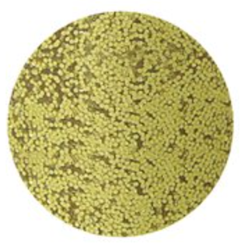 Pacon Glitter 0.75oz Gold - 1ct