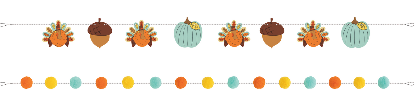 Thanksgiving Playful Turkey Pom Pom Garland Banner Set 6ft 1ct