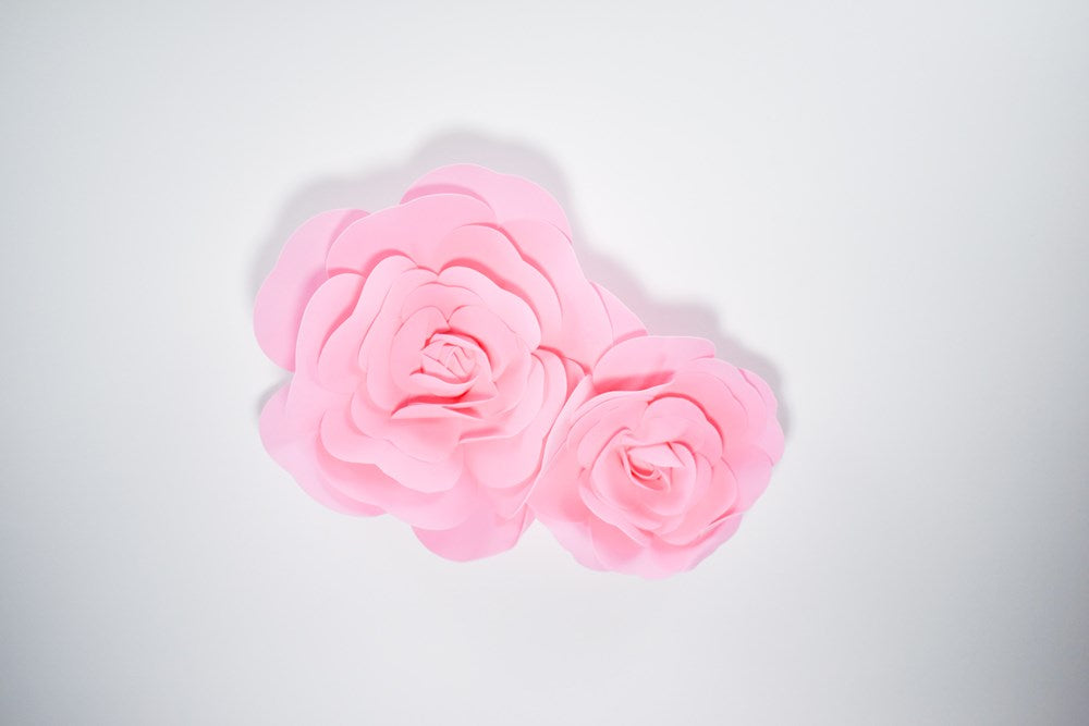 Two pink decorative paper wall flowers, one 12-inch and one 16-inch, with layered petals.