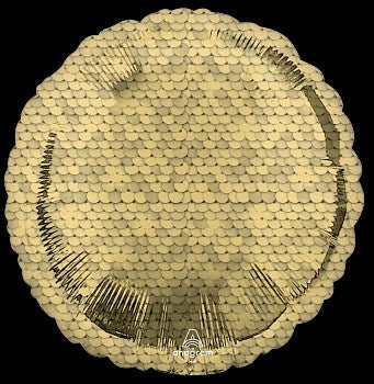 Round 18-inch gold foil balloon with a glittery, reflective surface and scalloped edges.