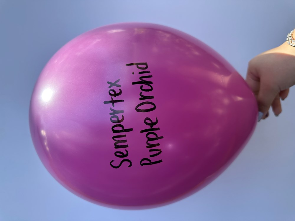 Glossy purple orchid latex balloon inflated, 11 inch round shape, black Sempertex Purple Orchid text on surface, held by.