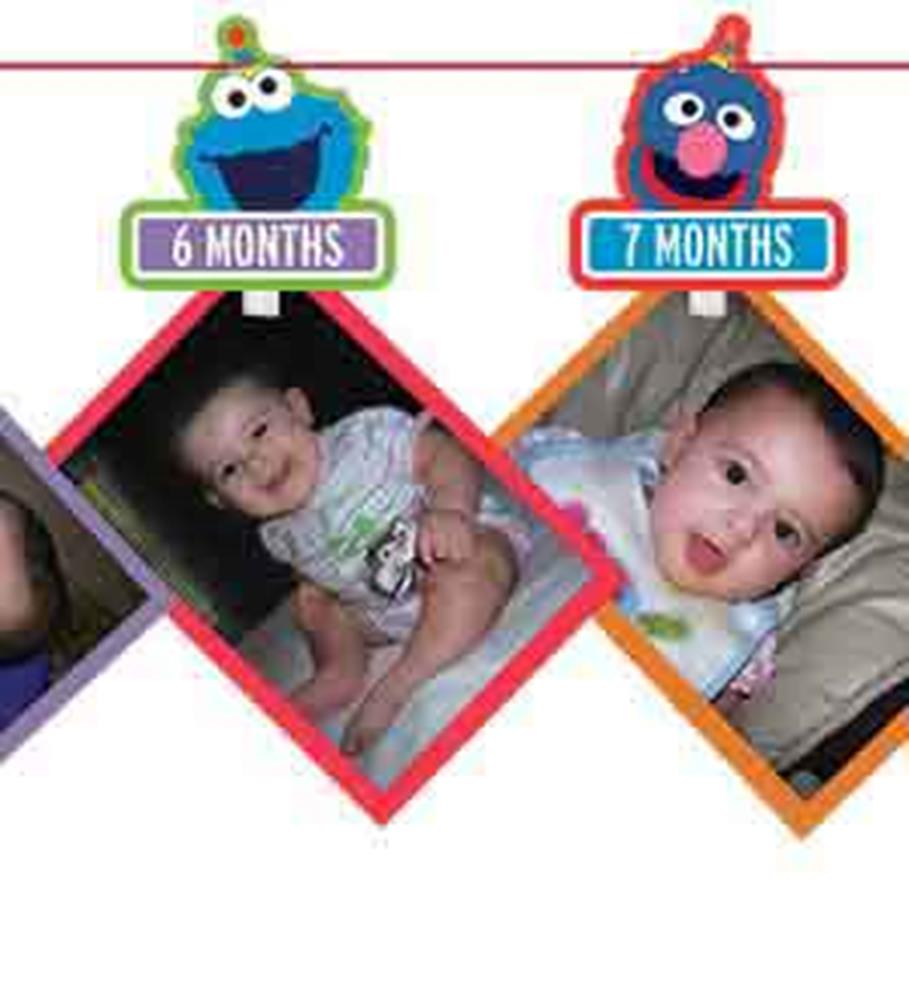 Elmo Turns One Photo Garland