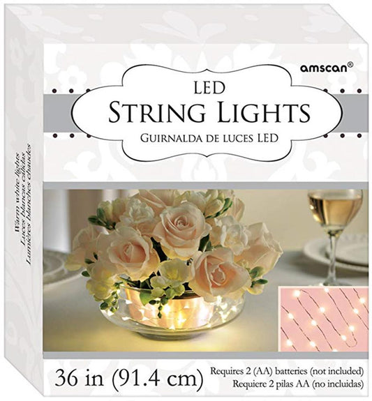 LED Light String 1ct