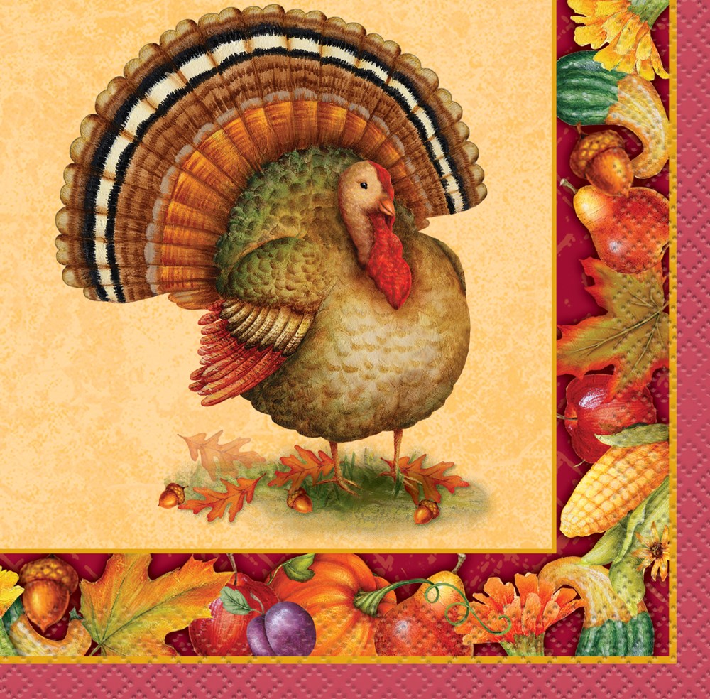 Festive Turkey Napkin (S) 16ct