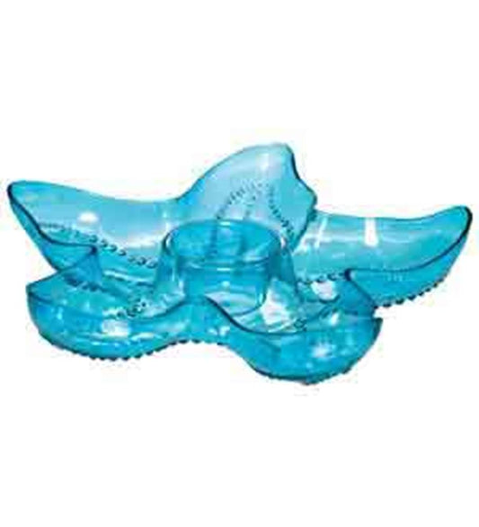 Blue Starfish Chip and Dip