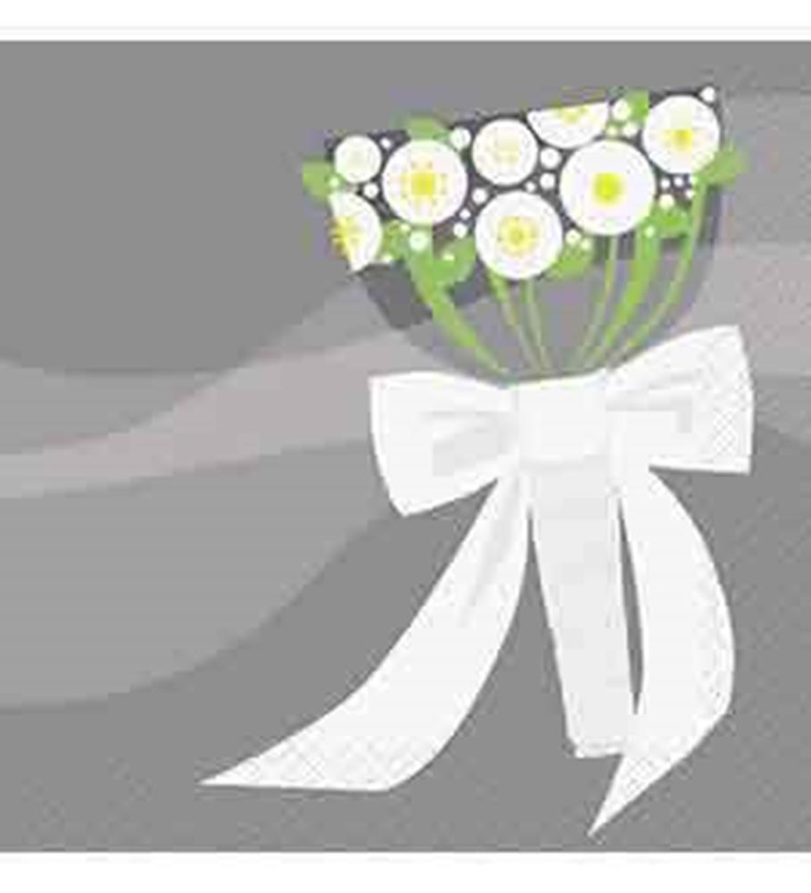 Silver Wedding Napkin (S) 16ct