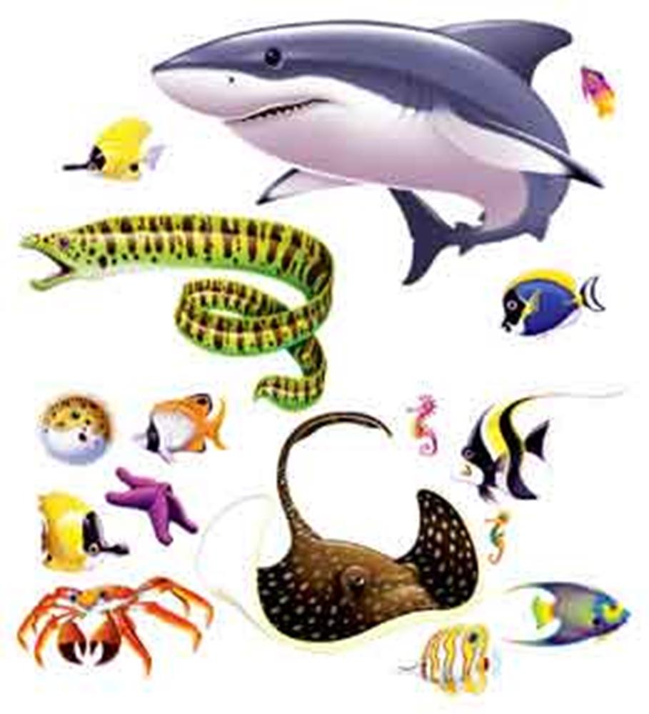 Colorful inflatable marine life props including a gray shark, yellow and green eel, stingray, various tropical fish, crab,.