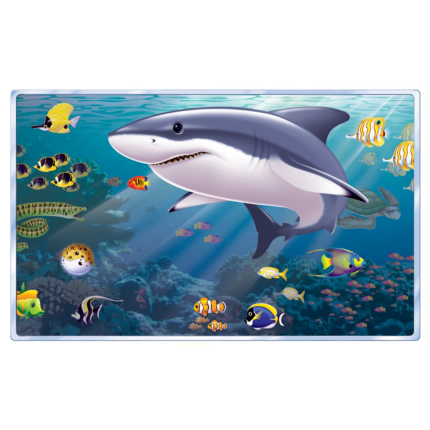 Aquarium Insta-view