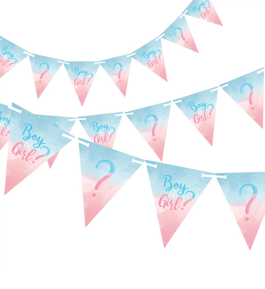 The Big Reveal Pennant Banner