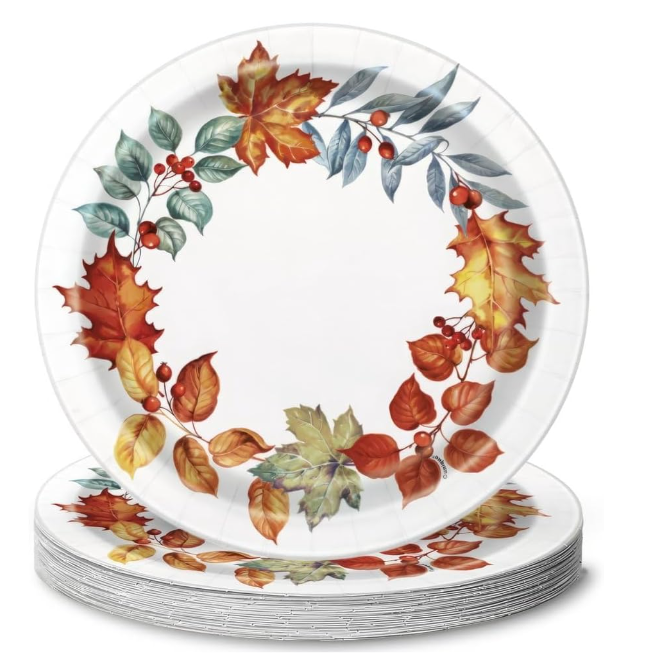 Set of 9-inch white paper plates with autumn leaves and red berries wreath design around the edge.