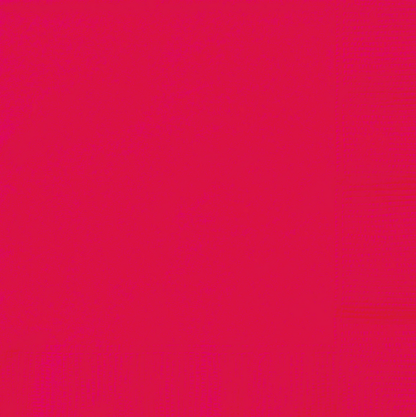 Ruby Red Lunch Napkins 40 ct