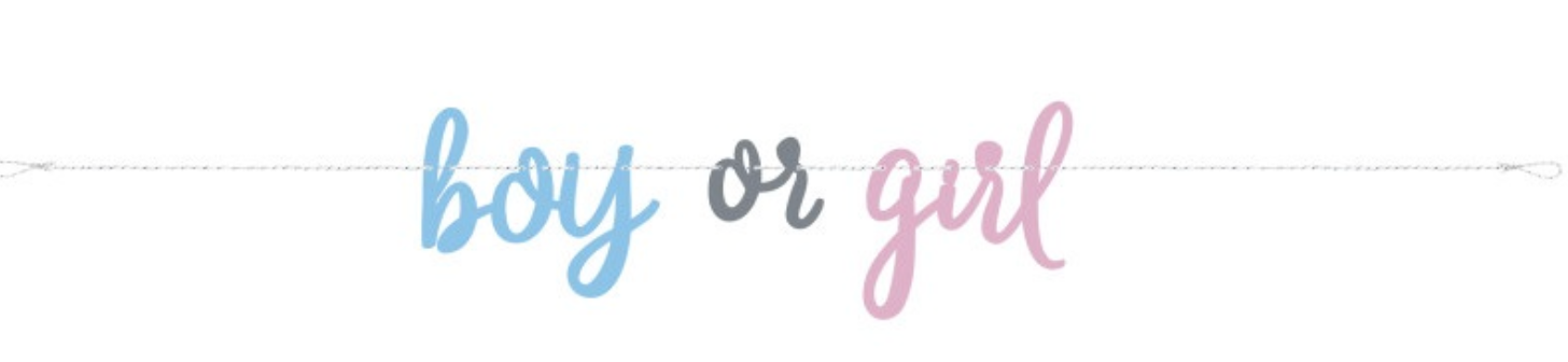 Blue Pink Gender Reveal Banner 7Ft - Toy World Inc