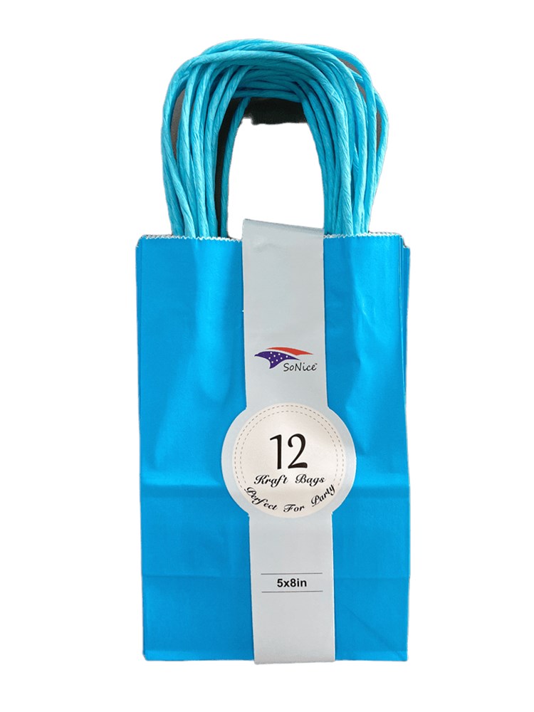 Craft Bag 5x8 12ct - Turquoise