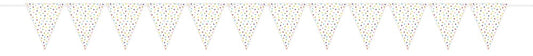 Paper Pennant 15ft -Rainbow Dots